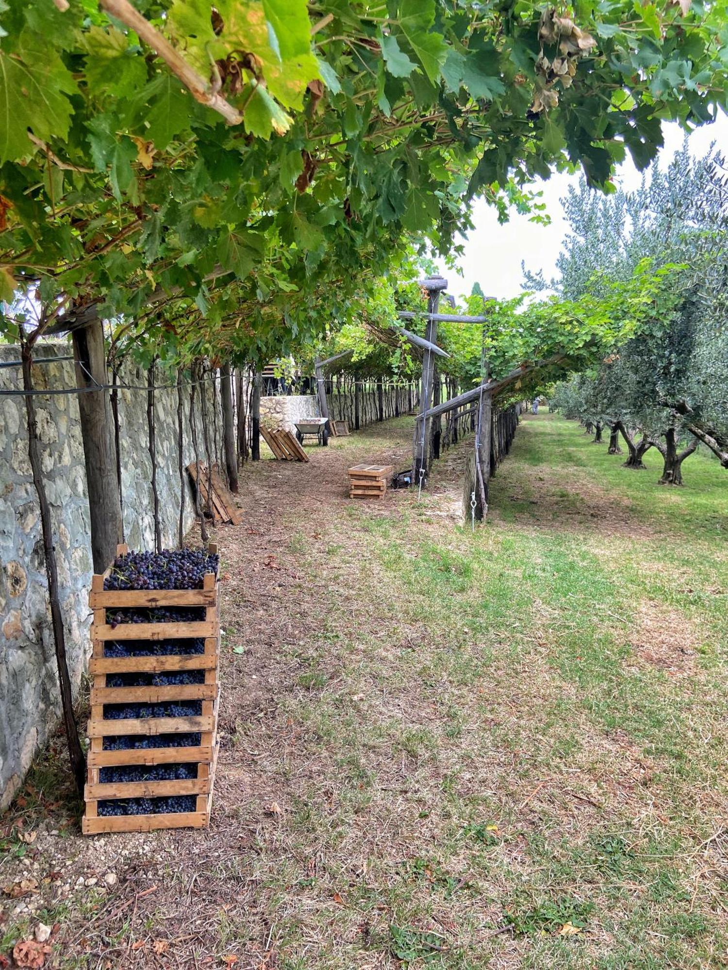 La Vineria Di San Mattia Villa Verona Luaran gambar