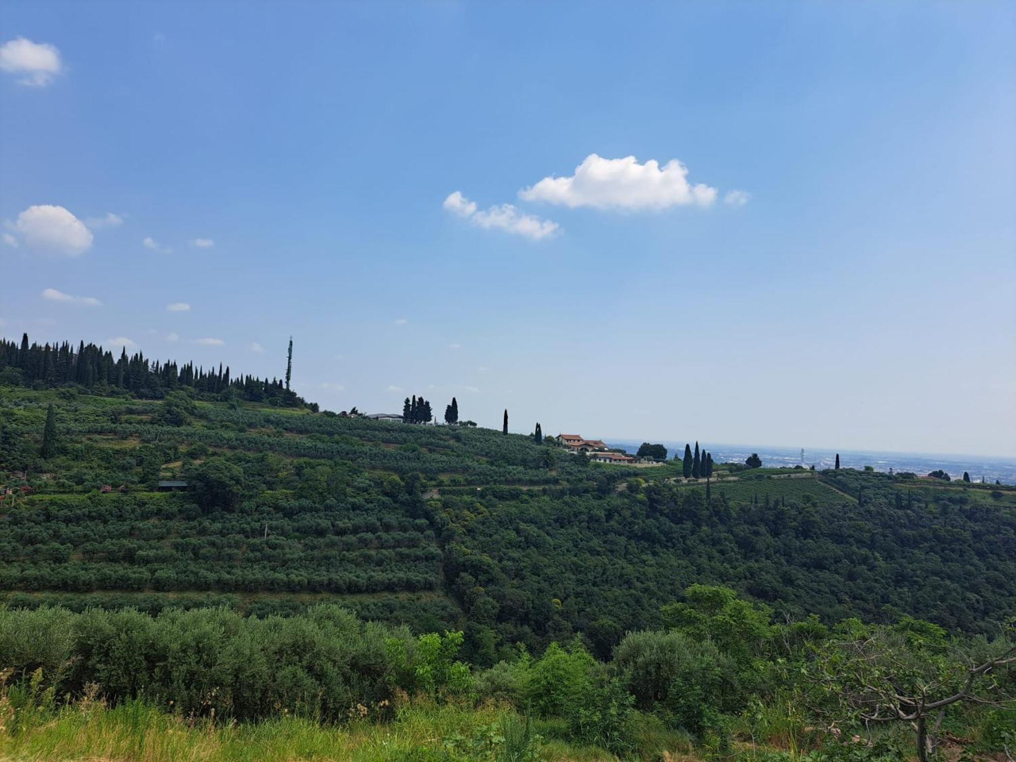 La Vineria Di San Mattia Villa Verona Bilik gambar